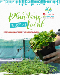 Plantons local Occitanie