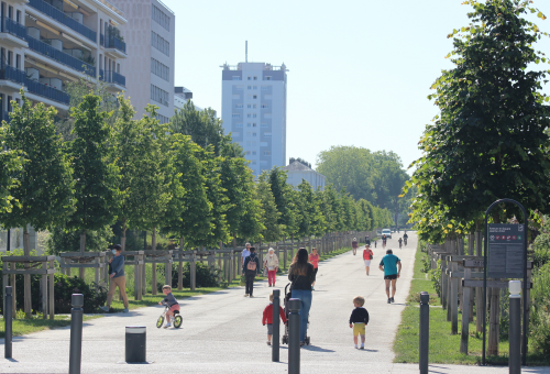 bandeau : La nature en ville prépare son deuxième plan