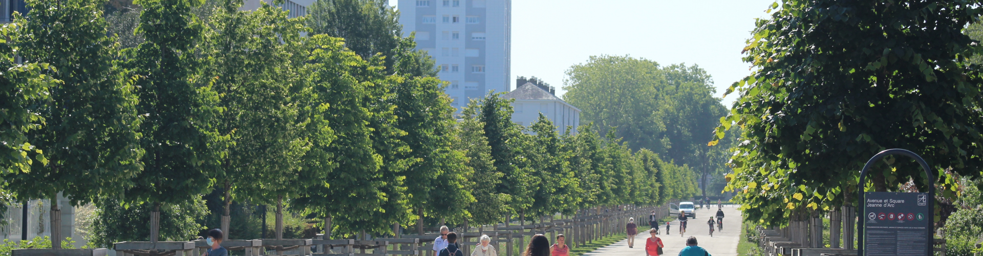 bandeau : La nature en ville prépare son deuxième plan