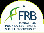 FRB