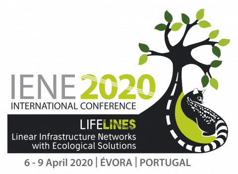 IENE 2020