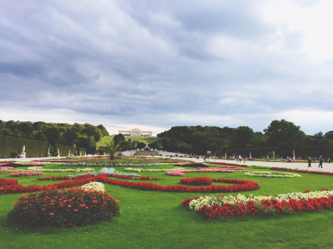 jardin et fleurs