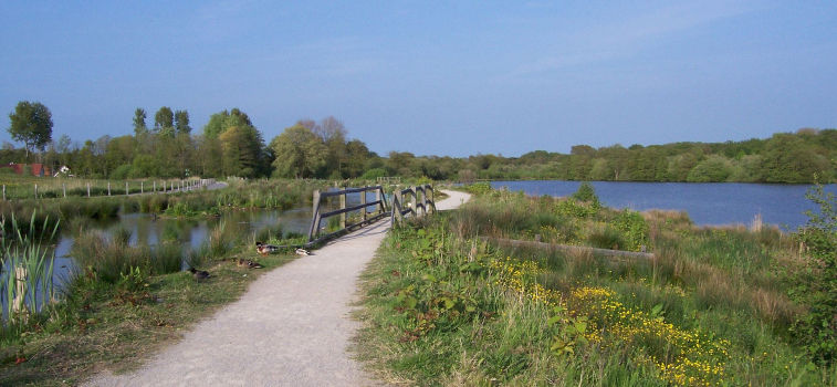 marais de condette