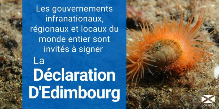 Renforcer l'efficacité des politiques locales en matière de biodiversité