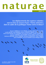 Les déplacements des espèces volantes : vers la mise en œuvre d’une « Trame aérienne » dans le cadre de la politique Trame verte et bleue  ?