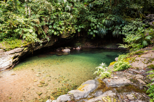 TEN Guadeloupe