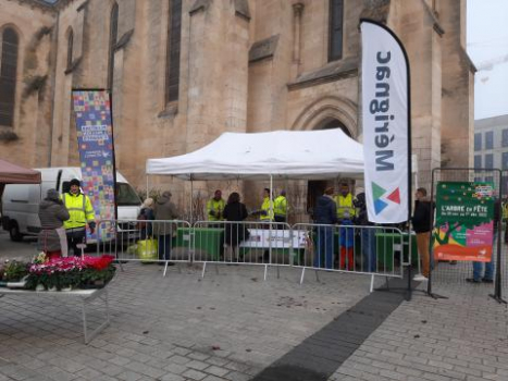 SEMAINE DE L'ARBRE EN FÊTE (ÉVÈNEMENT MÉTROPOLITAIN ANNUEL)