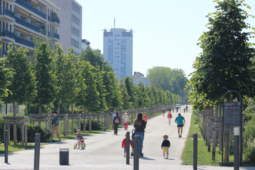 bandeau : La nature en ville prépare son deuxième plan