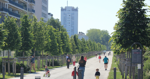 bandeau : La nature en ville prépare son deuxième plan