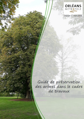 Guide de préservation des arbres dans le cadre de travaux