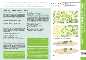 Fiche conseil : Protection des arbres existants de la conception à la phase chantier