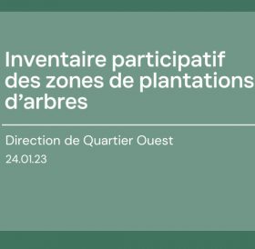 Inventaire participatif zones plantations