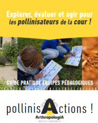 Explorer, évaluer et agir pour les pollinisateurs de la cour !