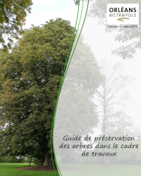 Guide de préservation des arbres dans le cadre de travaux