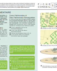 Fiche conseil : Protection des arbres existants de la conception à la phase chantier