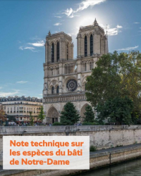 Note technique sur les espèces du bâti de Notre-Dame