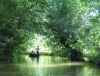 Le marais poitevin