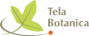 Logo Tela-Botanica