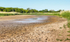 Guide sécheresse : "Mise en œuvre des mesures de restriction des usages de l'eau en période de sécheresse"