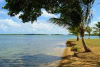 L’AIRE DE LA PLAGE DE BABIN, MORNE-À-L’EAU (971)