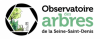 Observatoire arbres St Saint Denis