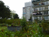 Jardin des cultures à Lille Sud