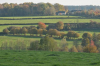 PRISE EN COMPTE DES ARBRES ET DES HAIES DANS LE PLUI