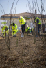 PROGRAMME "PLANTONS 1 MILLION D'ARBRES" EN 10 ANS