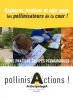 Explorer, évaluer et agir pour les pollinisateurs de la cour !